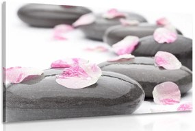 Stampa su tela – Petali su pietre wellness