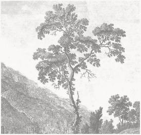 Carta da parati in tessuto non tessuto Engraved Landscapes I