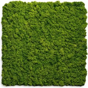 Pannello decorativo fonoassorbente acustico Set 2 pz 60x60 cm effetto muschio sintetico erba artificiale