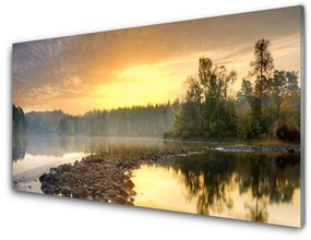 Quadro in vetro acrilico Paesaggio dello stagno del lago 100x50 cm