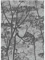 Florale Tapete Cow Parsley Icons von Cole & Son - Charcoal