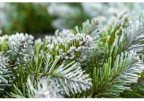 Ghirlanda natalizia Ø 54 cm