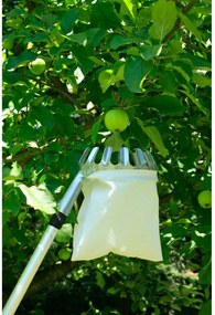 Coglifrutta - Garden Pleasure