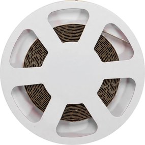 Striscia LED 24V 144W/m Luce Rosa - IP54 - 5 metri