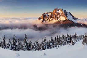 Carta da parati autoadesiva – Rozsutec sotto una coltre di neve