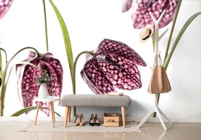 Carta da parati – Fiore a scacchiera