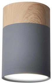 Plafoniera TUBA GU10/15W/230V