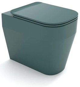 Vaso WC filomuro OLYMPIA CERAMICA tuttoevo, sedile incluso P 53 x L 36 x H 42 cm verde