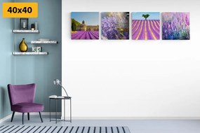 Set di quadri – Ricchezza della lavanda