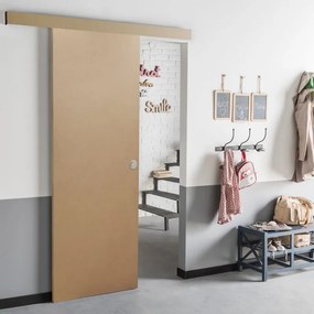 Porta scorrevole reversibile Practical in acciaio beige, L 70 x H 210 cm, con binario Low