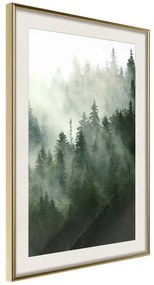 Poster  Steaming Forest  Cornice Quadri Cornice d'oro con passe-partout, Larghezza x Altezza Home decor 30x45