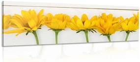 Quadro su tela – Fiori gialli stupendi