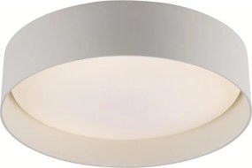 Schöner Wohnen 14593-39 - Plafoniera LED dimmerabile TAVOLI LED/10W/230V grigio + telecomando
