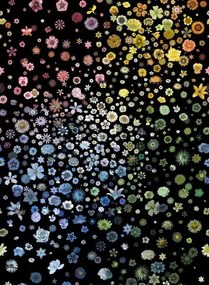 Christian Lacroix Carta da parati Jardin des Hesperides - Multicolore