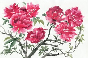 Carta da parati – Fiori di azalea