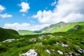 Carta da parati autoadesiva – Valle nel Montenegro