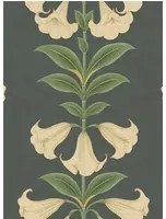 Cole & Son Carta da parati Angels Trumpet - Cream/ Olive Green on Charcoal