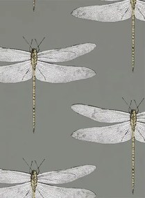 Harlequin Carta da parati Demoiselle - Graphite/ Almond