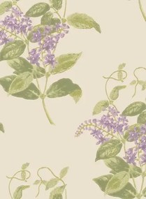 Cole & Son Carta da parati Madras Violet - Olive & Lavender