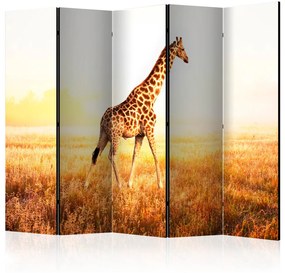 Paravento design Giraffa - passeggiata II (5 parti) - giraffa in campo