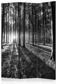 Paravento Foresta Grigia - Paesaggio in bianco e nero di una foresta densa
