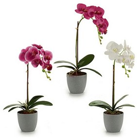 Pianta Decorativa Orchidea Plastica 13 x 39 x 22 cm (6 Unità)