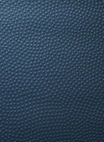 Unitapete Embosse von Jean Paul Gaultier - Indigo