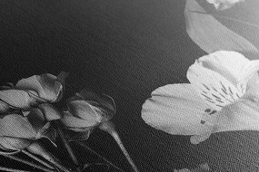 Stampa su tela – Fiori eleganti in bianco e nero