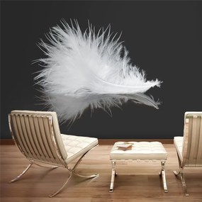 Fotomurale White feather