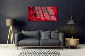 Quadro su vetro acrilico Fiori della natura delle rose rosse 100x50 cm