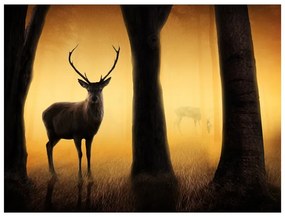 Fotomurale  Deer in his natural habitat  Colore Arancione, Dimensioni e Misure 200x154