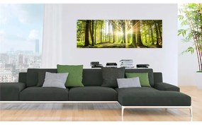 Quadro Daylight  Colore Verde, Dimensioni e Misure 135x45