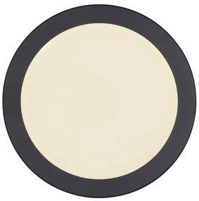 Globo 12379-24B - Plafoniera LED LASSE LED/24W/230V