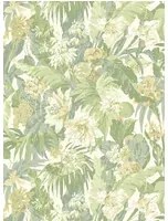 GP & J Baker Carta da parati Tropical Floral - Soft Green