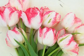 Stampa su tela – Tulipani primaverili