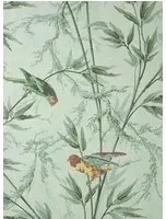 Little Greene Tapete Great Ormond Street - Verditure