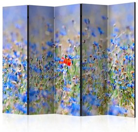 Paravento A skycolored meadow cornflowers II [Room Dividers]