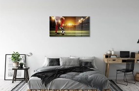 Quadro acrilico Gambe dello stadio a sfera 100x50 cm