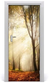 Poster adesivo per porta Foresta in autunno 75x205 cm