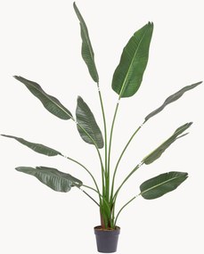 Pianta artificiale Strelitzia