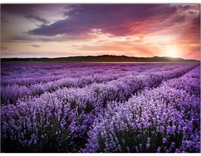 Dipinto 100x70 cm Lavender Field - Wallity