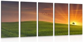Quadri 5 pezzi – Albero sul prato