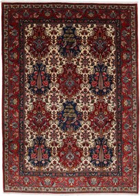 Bakhtiar Tappeto persiano 300 x 210 (Iran) Annodato A Mano