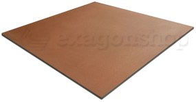 Pavimento Rivestimento 60x60 R11 Seconda Scelta Cotto Brach BRCCO60 Ceramica Sant Agostino