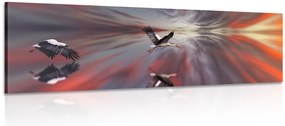 Quadro su tela – Cicogne su sfondo astratto