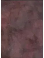 Rebel Walls Carta da parati panoramica Colour Clouds - Maroon