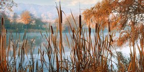 Quadro su tela – Fiume nel mezzo della natura autunnale