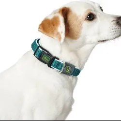 Collare per Cani Hunter Basic Filo Azzurro Taglia M Blue (33-50 cm)
