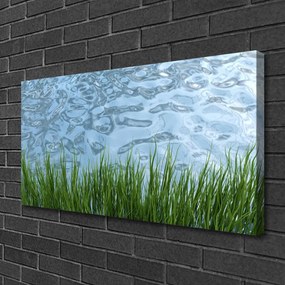 Quadro su tela Erba, acqua, natura 100x50 cm