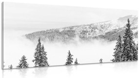 Quadro su tela – Alberi di pino innevati in bianco e nero